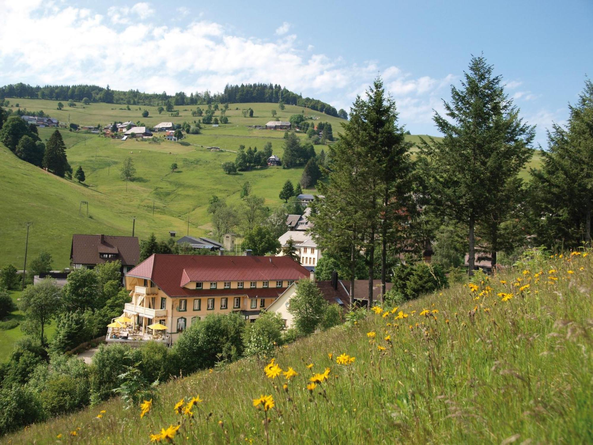 Gruener Baum Naturparkhotel & Schwarzwald-Restaurant Todtnau Exterior foto
