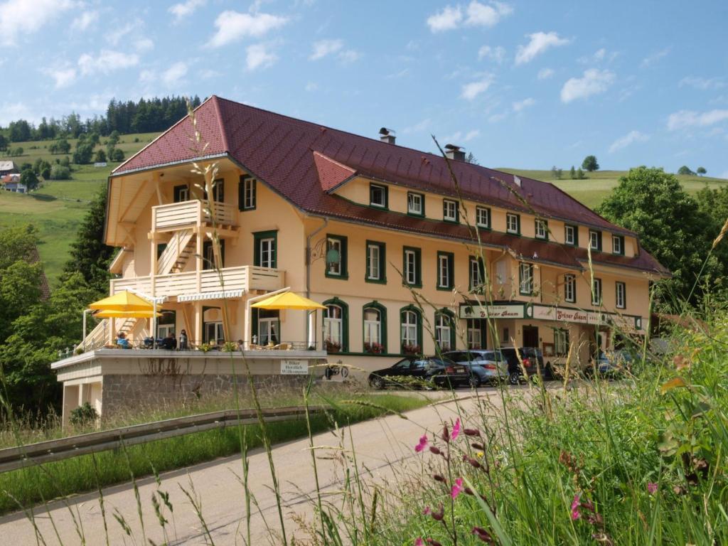 Gruener Baum Naturparkhotel & Schwarzwald-Restaurant Todtnau Exterior foto